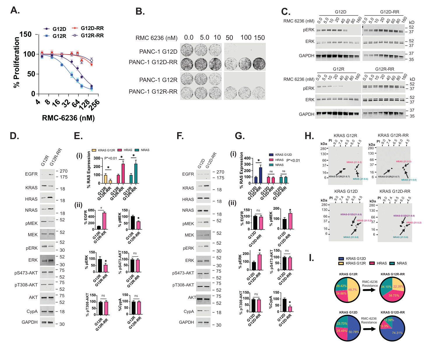 Fig. 4：Distinct Stoichiometric Adaptations Confer Daraxonrasib Resistance in KRASG12R and 056 KRASG12D PDAC Cells 057