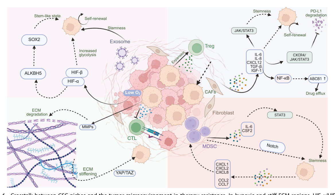 Fig. 6：CSC niche 与微环境的交叉对话——缺氧、ECM、外泌体、CAF/TAM/MDSC 共同构建耐药的"保护生态"