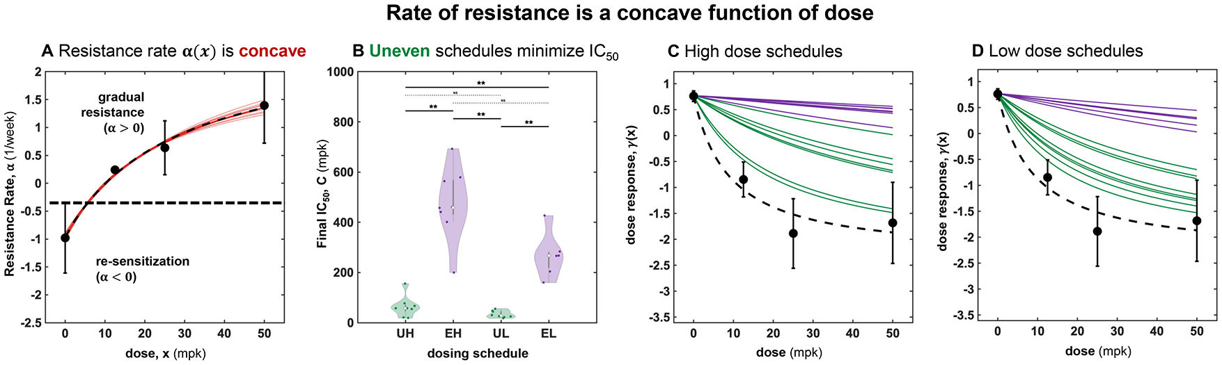 Fig. 4：Rate of resistance is a concave function of dose (A) Parameterization of the resistance rates α (see Methods eqns. 5) from figure 3 as a function of dose, x. The data are fit to a concave best fit (dashed line). (B) Model-predicted IC50 values are much lower for uneven schedules (green) than even schedules (purple) due to the concave shaped α(x). (C) Model-predicted dose response for the high dose uneven schedules (green) and even schedules (purple). (D) (C) Model-predicted dose response for the low dose uneven schedules (green) and even schedules (purple).