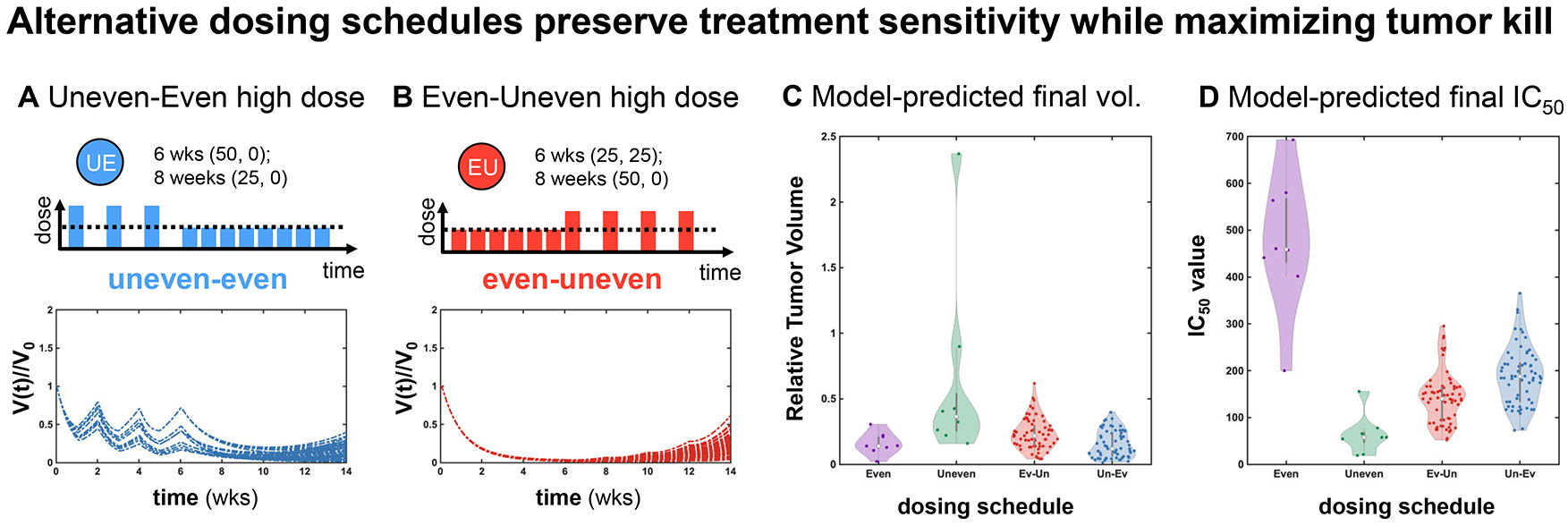 Fig. 5：Modeling predicts that alternative dosing schedules can preserve sensitivity while maximizing tumor kill (A,B) Based on parameterization in figure 3, two alternative schedules are simulated: Uneven dosing (6 weeks) followed by even dosing (8 weeks) shown in blue. Even dosing (6 weeks) followed by uneven dosing (8 weeks) shown in red. (C) Modeling-predicted final tumor volume. The even-uneven or uneven-even switching schedules are non-inferior to even dosing, despite maintaining a superior IC50 value in (D). (D) Modeling-predicted final IC50 value. Uneven schedules minimize IC50, followed by even-uneven, then uneven-even switching schedules.