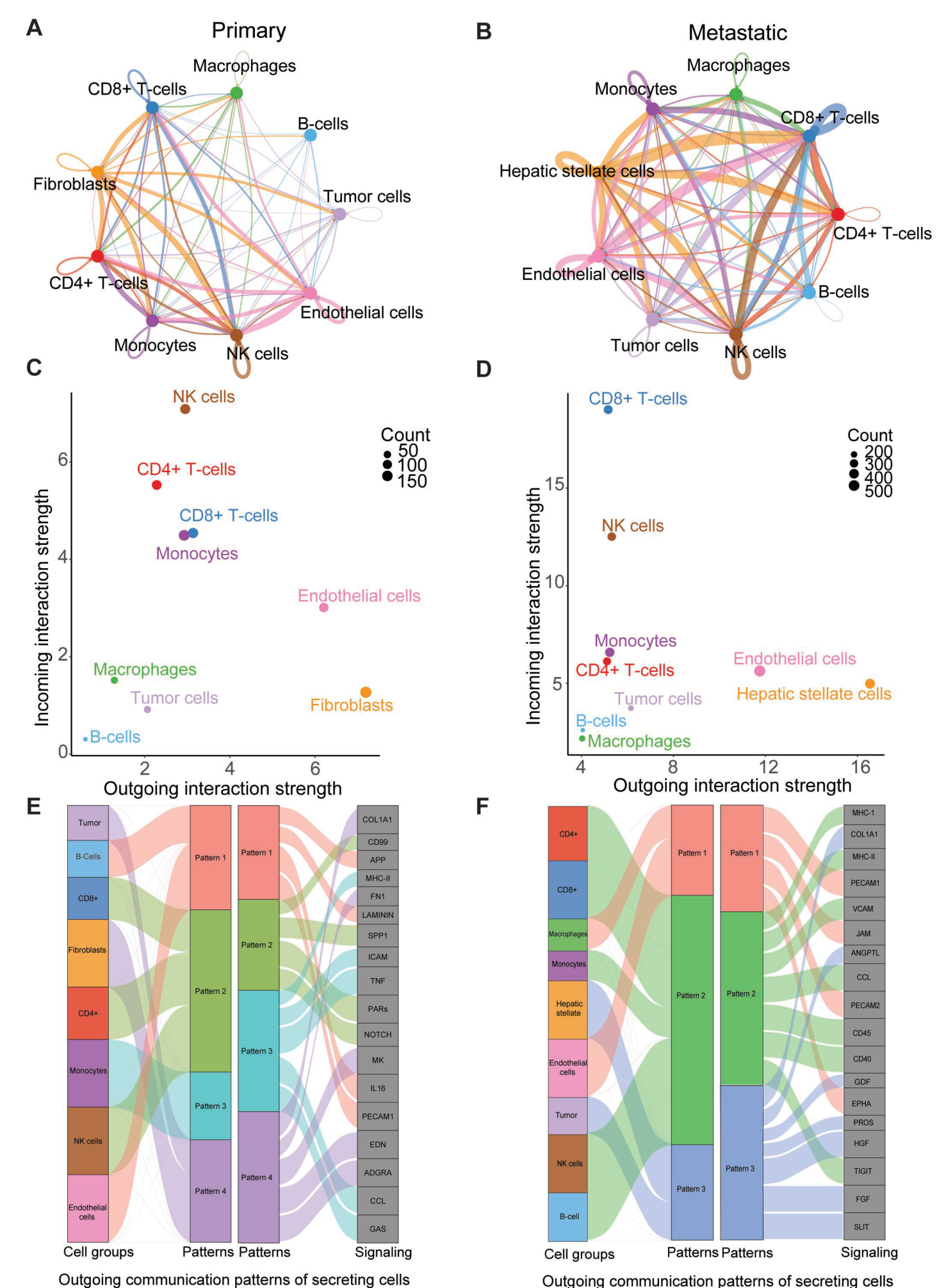 Fig. 2:Human metastatic uveal melanoma cells communicate with endothelial cells and
