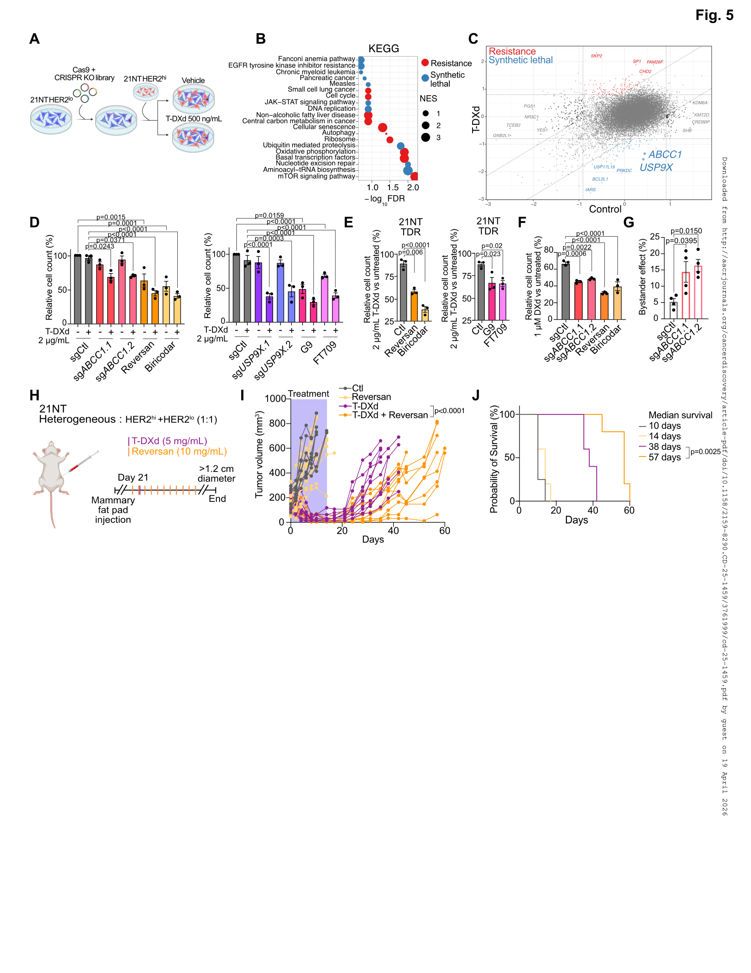 Fig. 5：T-DXd 共培养条件下的 CRISPR KO 筛选——鉴定 ABCC1、USP9X 等增敏靶点