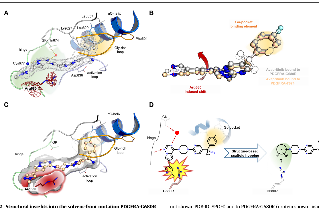 Fig. 2：PDGFRA-G680R 结构揭示 avapritinib 的甲基吡唑与 Arg680 立体冲突，由此引出骨架跃迁设计思路