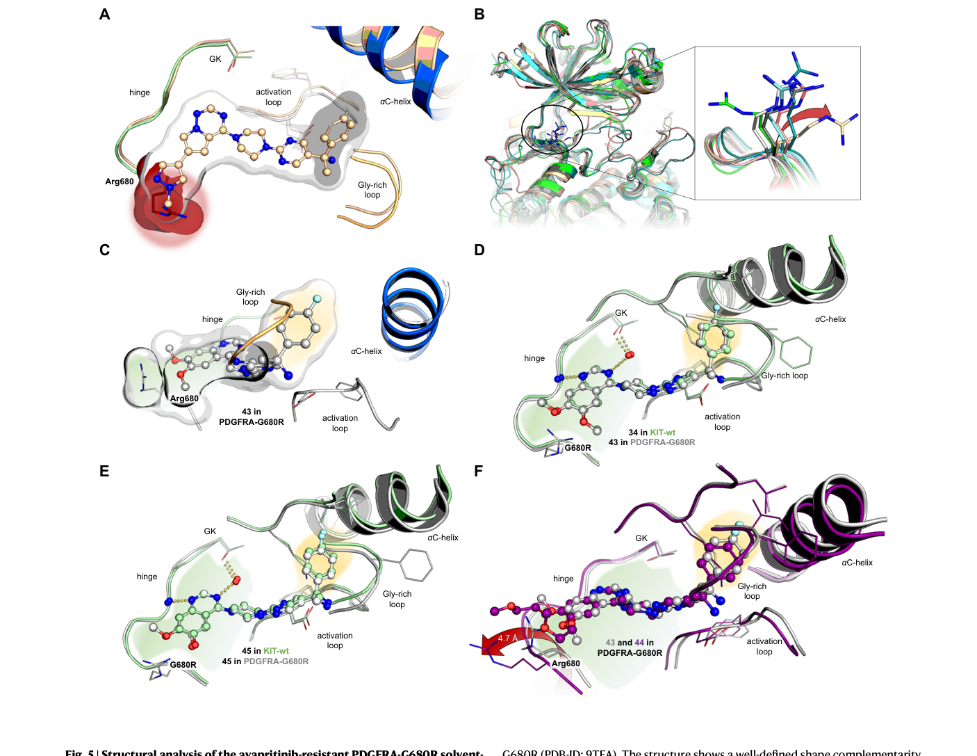 Fig. 5：喹唑啉类抑制剂（43/44/45）结合 PDGFRA-G680R 的共晶结构——43 的二甲氧基与 Arg680 形状互补，而 44 的长醚链把 Arg680 顶开 4.7 Å