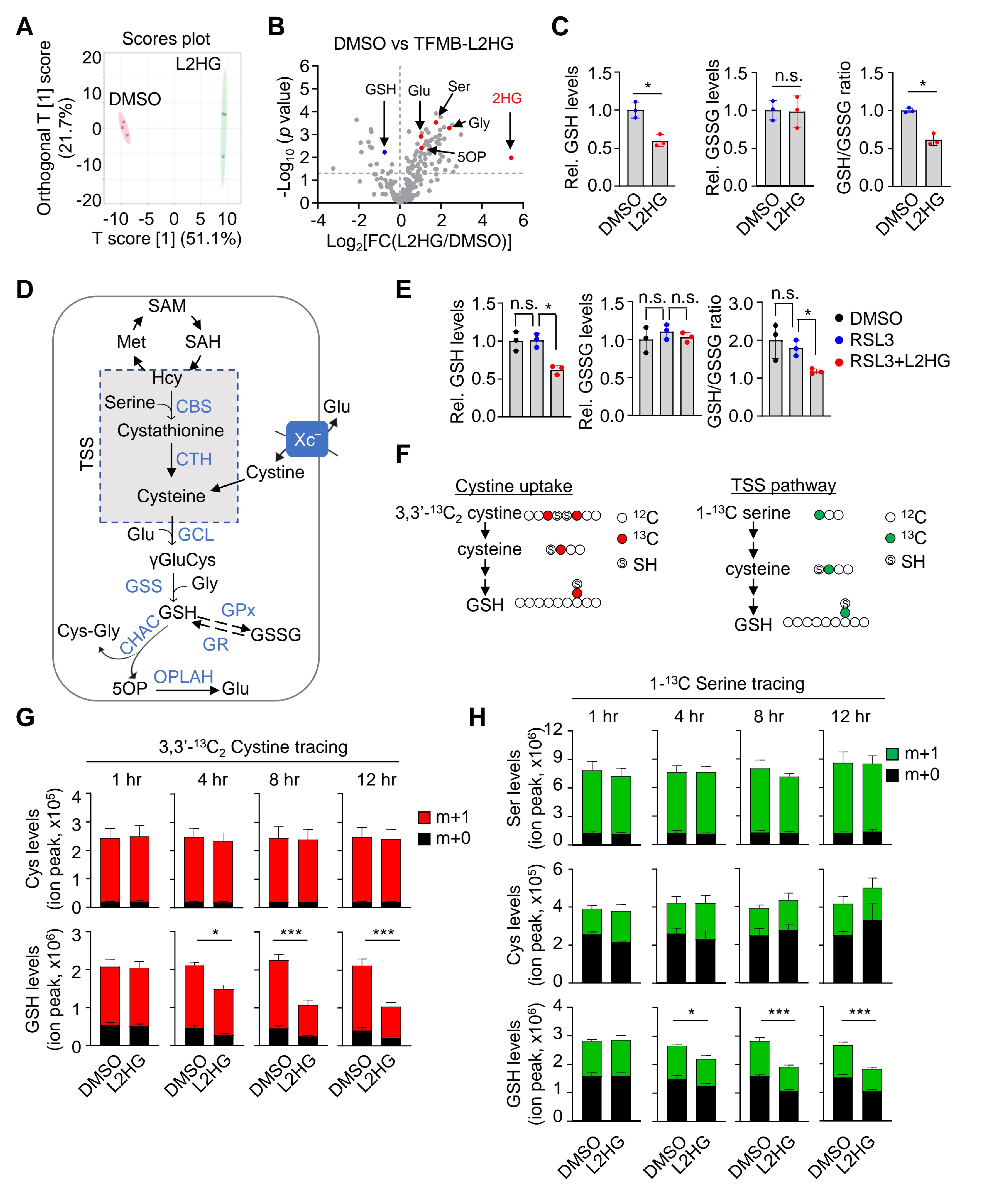 Fig. 4：L2HG disrupts GSH homeostasis. A-B) LC-MS/MS analysis metabolite profiles of Hep3B
