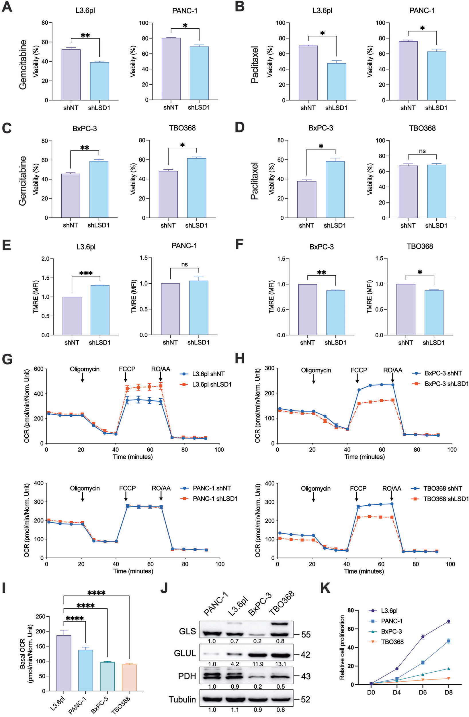 Fig. 2：LSD1 敲低在 4 个 PDAC 细胞系里产生相反的化疗反应——RSK 亚型增敏，KRAS 亚型耐药，同时伴随相反的线粒体膜电位/呼吸变化