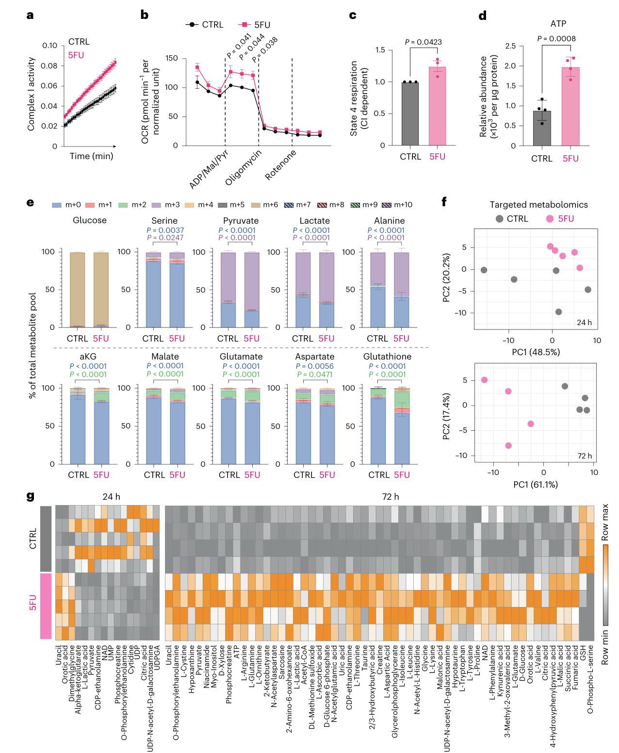 Fig. 2：5FU treatment reprograms metabolic activity. a, CI kinetic activity assay in HCT116 cells treated ±5FU. Data points show the mean of technical replicates; error bars, s.d. Representative data are shown from three independent experiments. b,c, OCR measured by extracellular flux analysis in cells treated ±5FU for 72 h, at baseline, post CI substrates (ADP/malate/pyruvate), post oligomycin and post rotenone (b), with CI-dependent respiration calculated (c). Data show biological mean ± s.e.m. of n = 3 (b) or individual biological replicates as data points with mean ± s.e.m. d, Quantification of relative ATP abundance by LC–MS in cells treated ±5FU for 72 h. Data show technical replicates; mean ± s.d. e, LC–MS metabolomics analysis of labelling in metabolites downstream