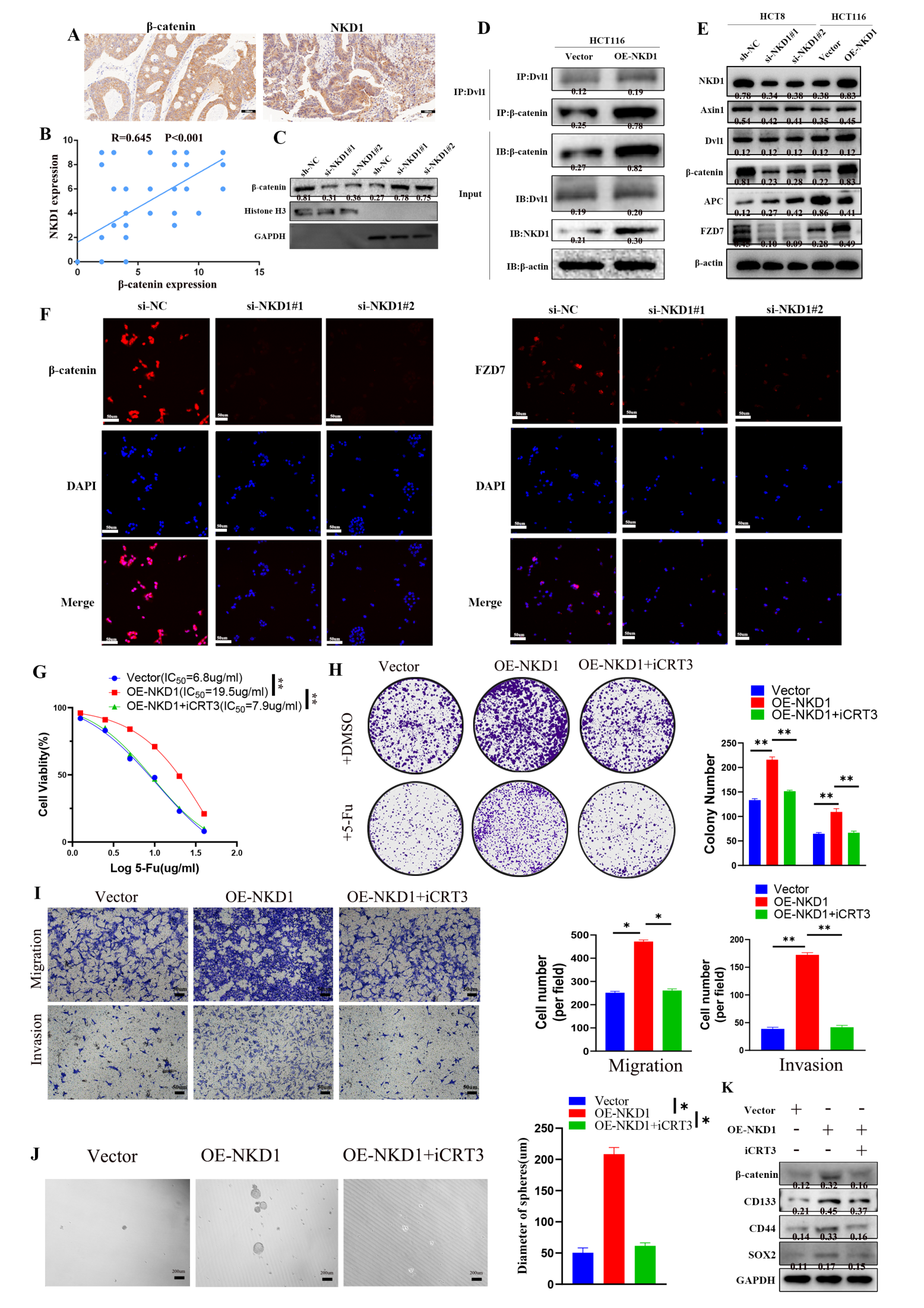 Fig. 7：