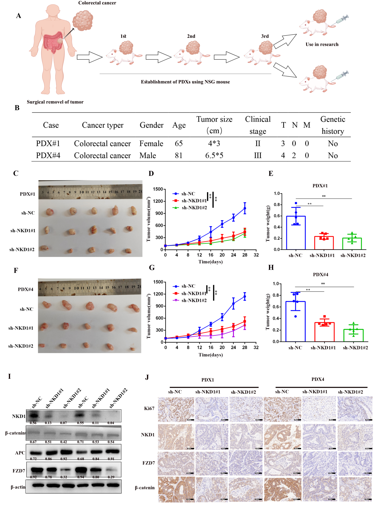 Fig. 8：