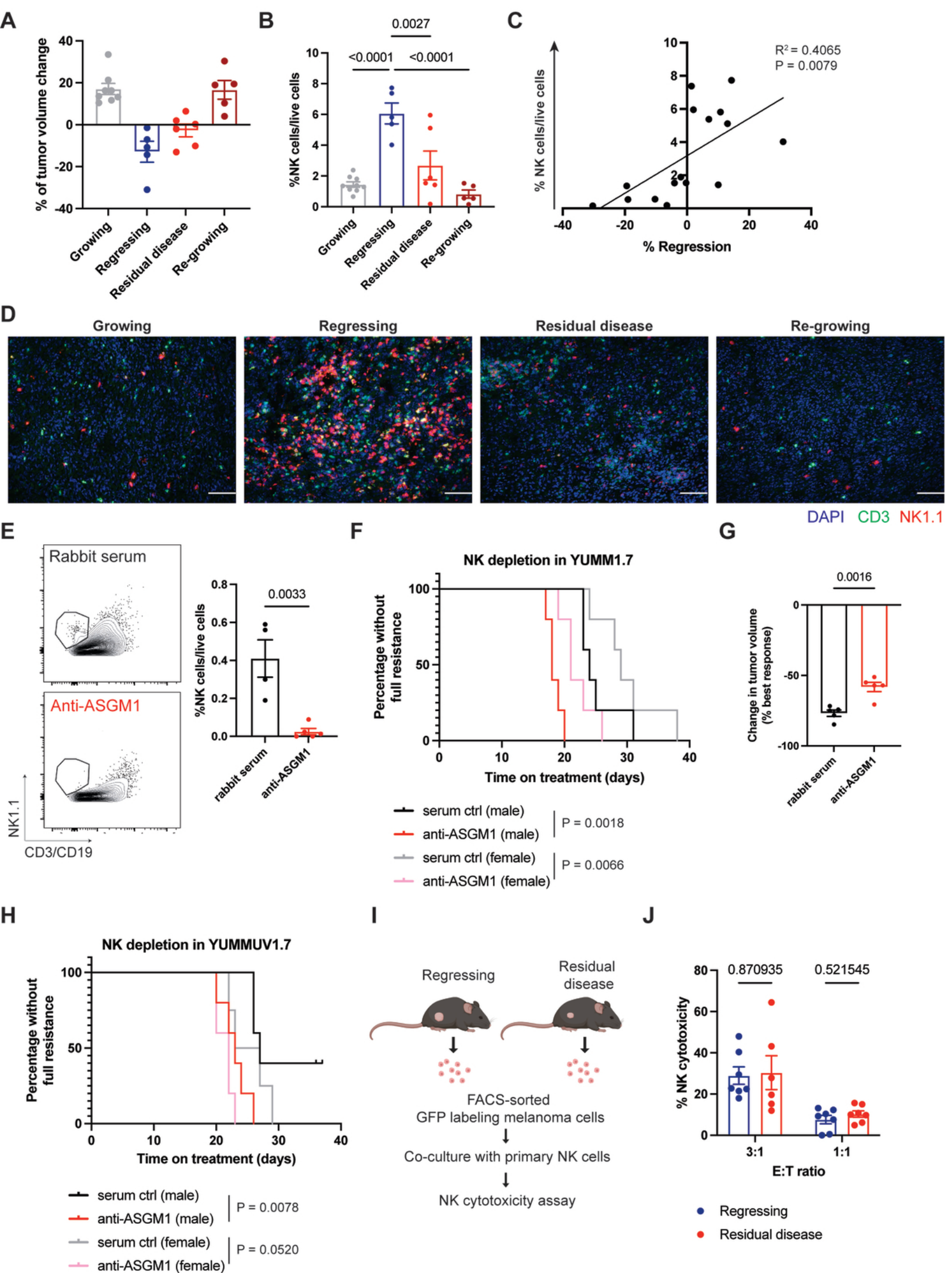 Fig. 1：NK cells are essenƟal for BRAF/MEKi therapeuƟc eﬃcacy. 851
