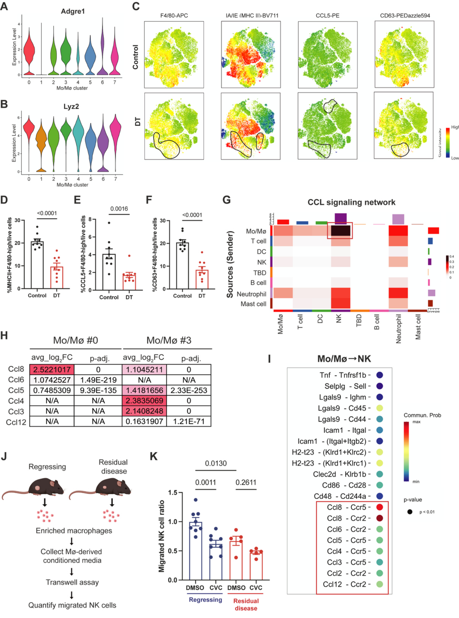 Fig. 3：CCR2/5 signaling mediates macrophage–NK crosstalk during tumor regression. 924