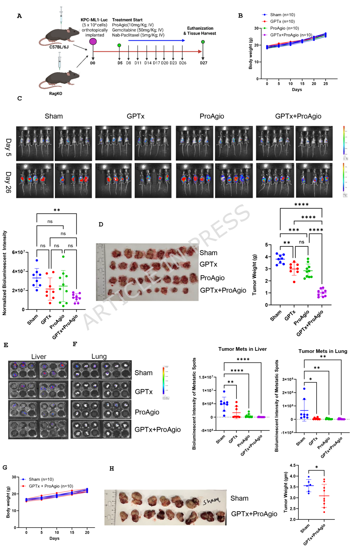 Fig. 3：The combination of chemotherapy plus ProAgio on the PDAC