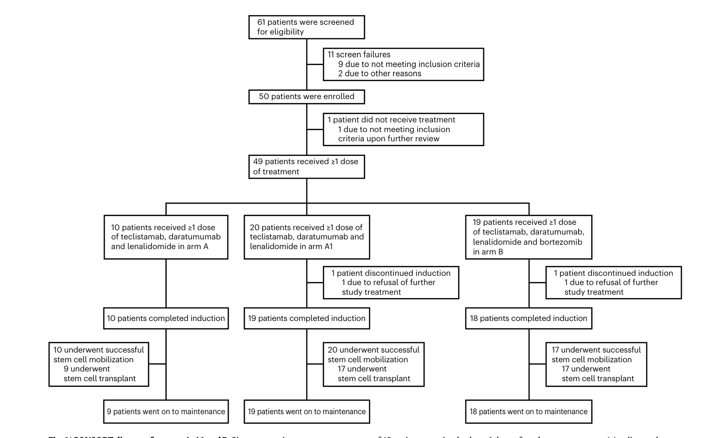 Fig. 1：CONSORT 流程图——61 例筛查、50 例入组、49 例用药，分三个队列