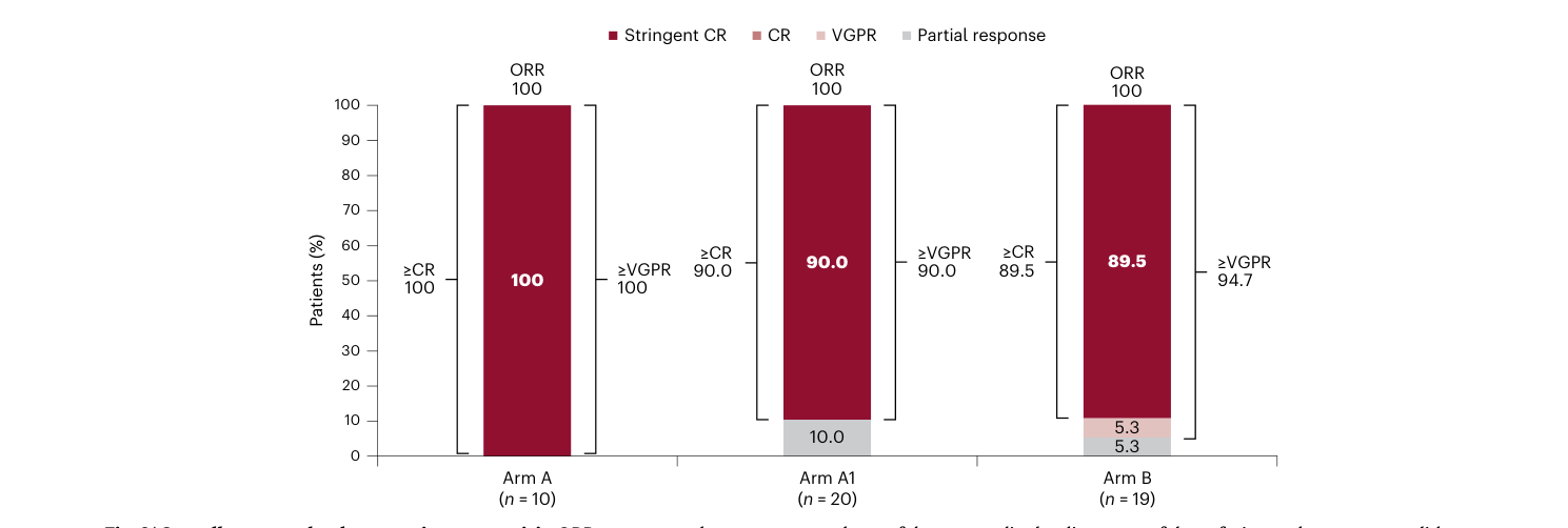 Fig. 3：总体缓解——三个臂 ORR 都是 100%，绝大多数达到 ≥CR（严格 CR）