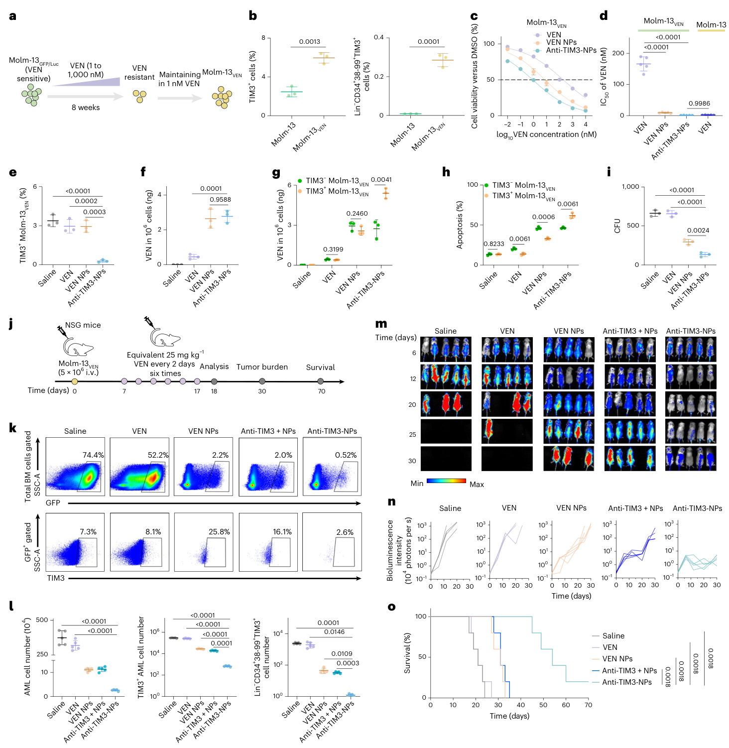 Fig. 2：Anti-TIM3-NPs enhance cellular uptake and overcome VEN resistance of AML cells. a, Schematic of Molm-13VEN construction. Cells were cultured in medium supplemented with increasing concentrations of VEN from 1 to 1,000 nM for more than 8 weeks and resistant cells were maintained in the presence of VEN. b, Percentage of TIM3+ and Lin−CD34+CD38−CD99+TIM3+ subsets in parental Molm-13 or Molm-13VEN. c, Survival of Molm-13VEN treated with different concentrations of free VEN, VEN NPs and anti-TIM3-NPs for 24 h. d, IC50 of free VEN, VEN NPs and anti-TIM3-NPs in Molm-13VEN, as well as IC50 of free VEN in Molm-13. e, Percentage of TIM3+ cells in Molm-13VEN treated with equivalent 5 nM VEN for 24 h. f,g, Quantification of VEN content in total Molm-13VEN (f) and TIM3− or TIM3+ cells (g) treated with equivalent 5 nM VEN for 24 h by UPLC–MS/MS. h, Apoptotic rate of TIM3− or TIM3+ Molm-13VEN treated with equivalent 5 nM VEN
