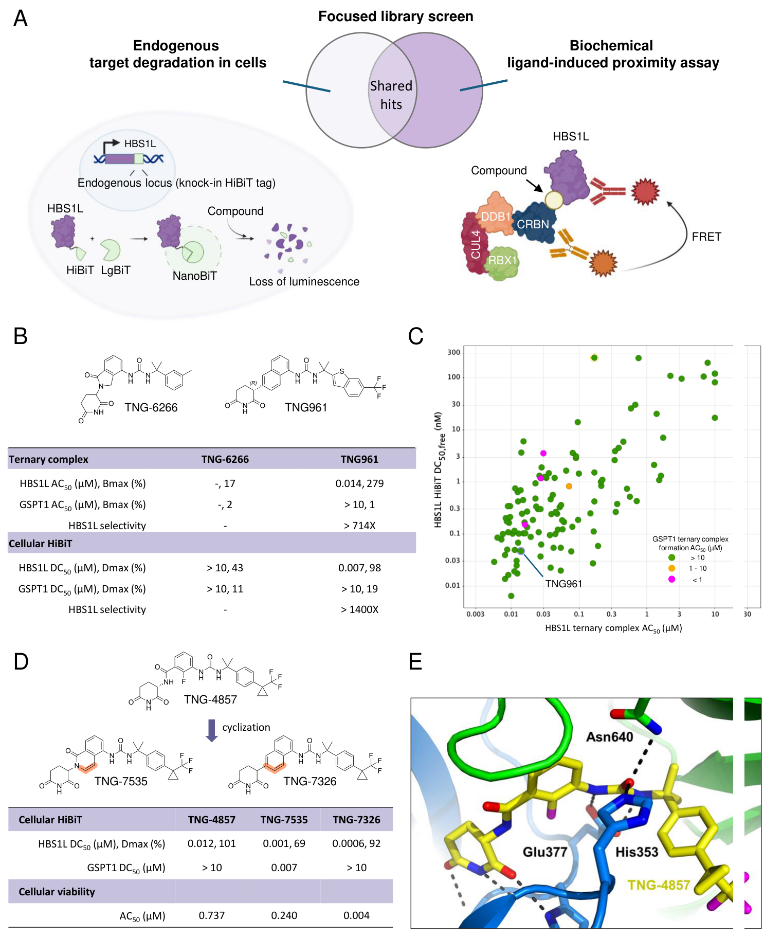 Fig. 2：Hit finding strategy and discovery of molecular glues that drive CRBN-