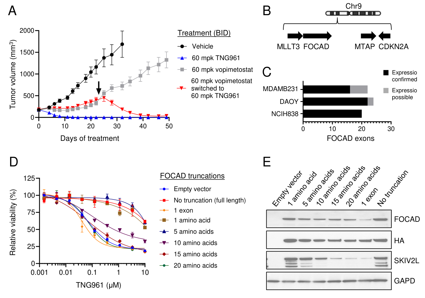 Fig. 7：TNG961 shows in vivo activity in the PRMT5 inhibitor–refractory setting