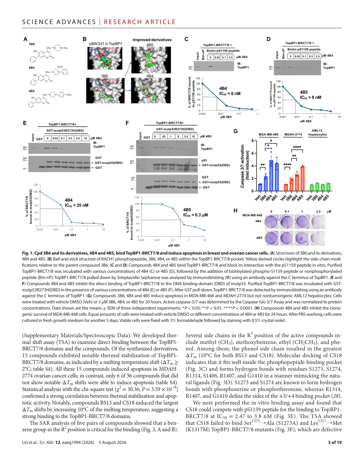 Fig. 1：对接筛选 + SAR 优化开发出 CS18，选择性破坏 TopBP1-BRCT7/8 致癌复合物